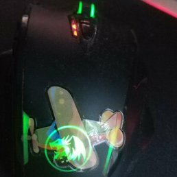 ���� ������, �����-���������, 37 ��� - ��������� 10 ���� 2023