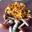 ���� ����, ���� - ��������� 23 ������� 2023 � ������ ���� ����������