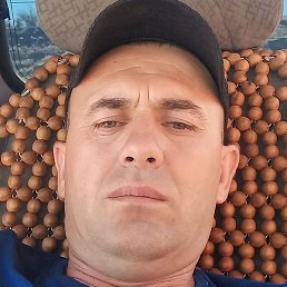 ����, �������, 36 ���