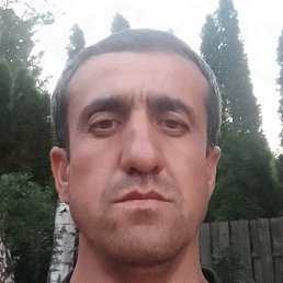 �����, �������, 37 ���