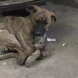 ������, ������, 32 ����