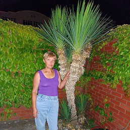 , , 36 