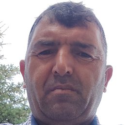 , , 51 