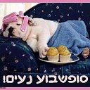  Prishelets Prishelets, , 61  -  24  2023    