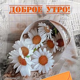 ���� �������, ����, 56 ��� - ��������� 12 ������� 2023