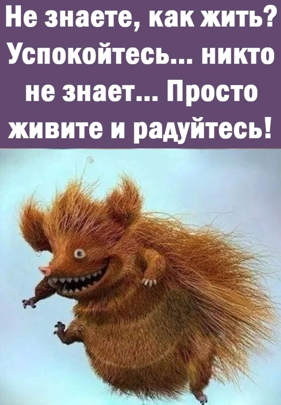 ***Victoria Viktorovna*** - 14  2023  10:15