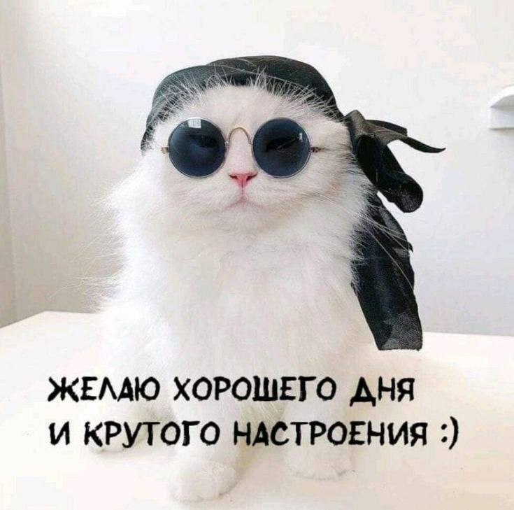   - 15  2023  09:09