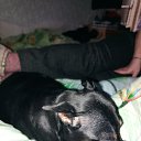 ���� �����, �����������, 67 ��� - ��������� 28 ����� 2023 � ������ ���� ����������