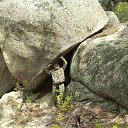 ���� ���������, �����������, 70 ��� - ��������� 14 ��� 2023 � ������ ���� ����������