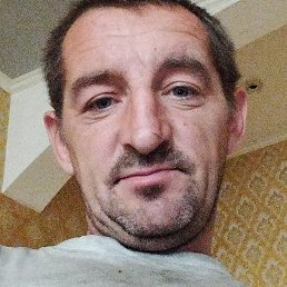 , , 44 
