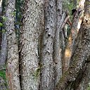 ���� Michail, ������, 42 ���� - ��������� 7 ������� 2023 � ������ ���� ����������