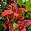 ���� ����, ���������� - ��������� 21 �������� 2023 � ������ ���� ����������