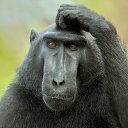 ���� ��������, �������, 42 ���� - ��������� 14 ������ 2023 � ������ ���� ����������