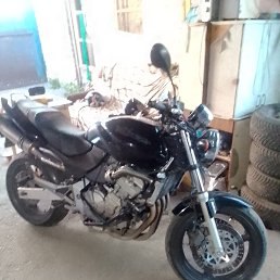  , , 36  -  10  2023