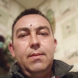 �����, �����, 41 ���