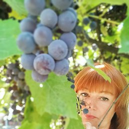 �����, ������, 54 ����