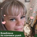 ���� �����, �����������, 40 ��� - ��������� 16 ��� 2023 � ������ ���� ����������