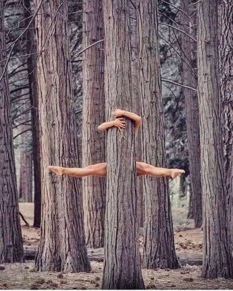 ,   -   ...   , ...)
