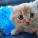 ���� �������, ������, 47 ��� - ��������� 10 ���� 2023