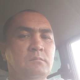 ������, �������, 43 ����