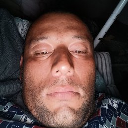 ������, ������, 41 ���