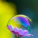 ���� ����, ���������, 53 ���� - ��������� 22 ����� 2023 � ������ ���� ����������