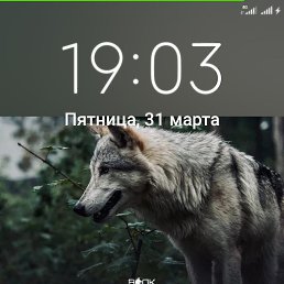  , , 48  -  15  2023