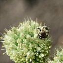  Aleksandr, , 49  -  12  2023