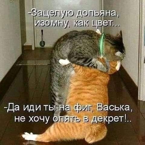  - 3  2023  14:00