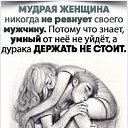���� ��������, ������, 55 ��� - ��������� 23 ���� 2023 � ������ ������ ��������