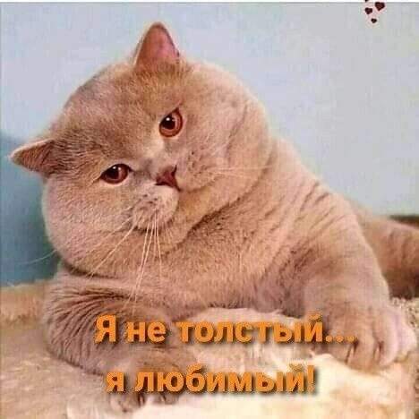   - 2  2023  09:33