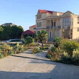 ����, �����������, 37 ���