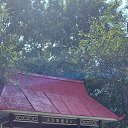 ���� �����, �������, 61 ��� - ��������� 10 �������� 2023 � ������ ���� ����������