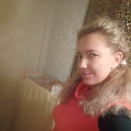 �����, �������, 37 ���