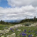 ���� �������, �����������, 57 ��� - ��������� 2 �������� 2023 � ������ ���� ����������