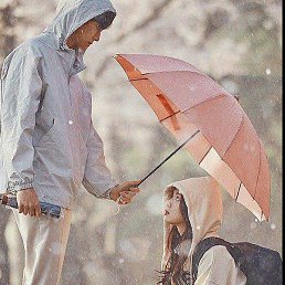 ������, �������, 34 ����