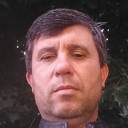 ������, ������, 49 ���