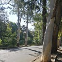 ���� ���������, ������, 67 ��� - ��������� 3 ������� 2023 � ������ ���� ����������