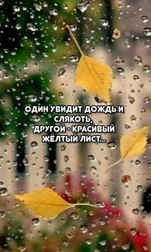   - 13  2023  08:59