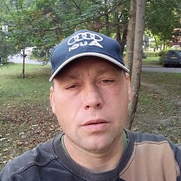 ����, ���������, 43 ����