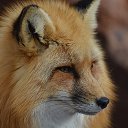 ���� ���, ������ - ��������� 13 ������� 2023 � ������ ���� ����������