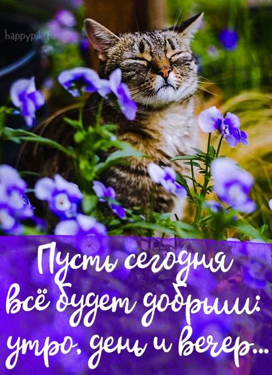   - 10  2023  07:52