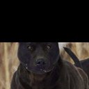 ���� ������, ������, 44 ���� - ��������� 25 ���� 2023 � ������ ���� ����������