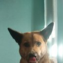   , -, 48  -  18  2023    