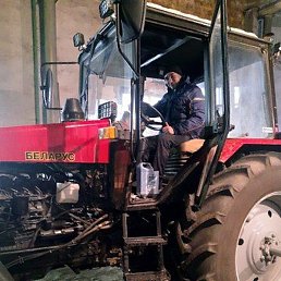 ���������, ����-���������, 41 ���