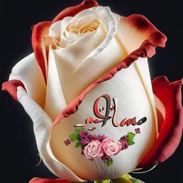 ���� Ahmad, ������, 49 ��� - ��������� 25 ���� 2023