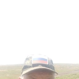 �������, �������, 46 ���