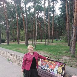 �������, �������, 66 ���