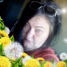 , 53,  