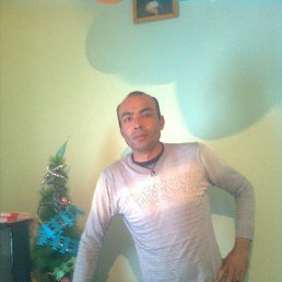 ����, �������, 49 ���